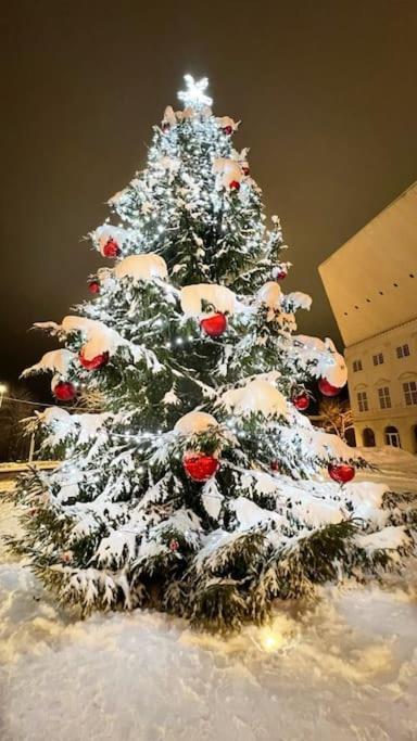 Comfort Apartment In Narva City Center Экстерьер фото